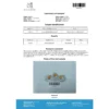 Cialyn (20mg 4 capsules) (Tadalafil)